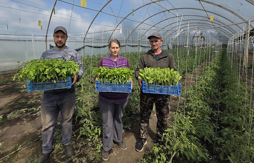 Семьям участников спецоперации раздали более тысячи кустиков рассады 