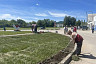 В Саратовской области чиновник с коллегами сажал цветы 